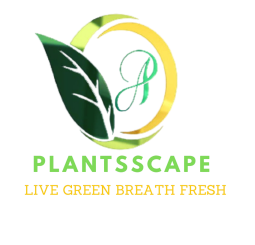 Plants scape